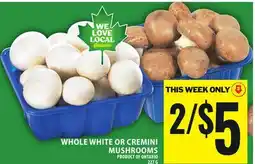 Food Basics WHOLE WHITE OR CREMINI MUSHROOMS offer