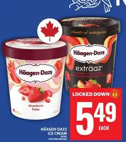Food Basics HÄAGEN-DAZS ICE CREAM offer