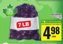 Food Basics RED ONIONS offer