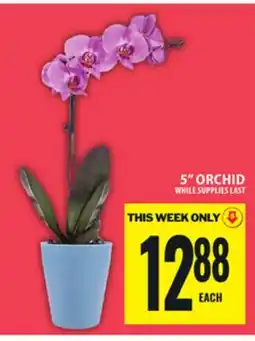 Food Basics 5 ORCHID offer