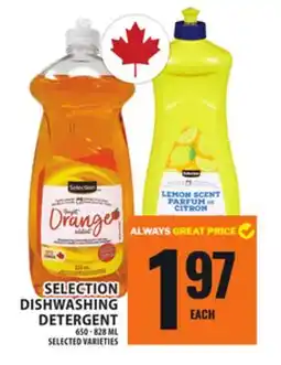 Food Basics SELECTION DISHWASHING DETERGENT offer