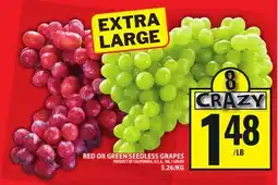 Food Basics RED OR GREEN SEEDLESS GRAPES offer