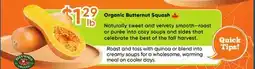 Healthy Planet Organic Butternut Squash offer