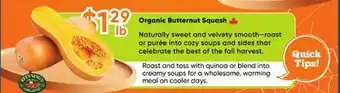 Healthy Planet Organic Butternut Squash offer