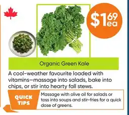 Healthy Planet Organic Green Kale offer