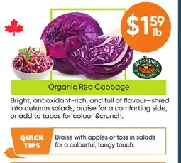 Healthy Planet Organic Red Cabbage offer