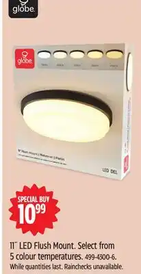 Canadian Tire Globe 11˝ LED Flush Mount offer