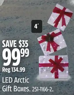 Canadian Tire CANVAS LED Arctic Gift Boxes offer