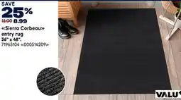 RONA ENTRY RUG offer