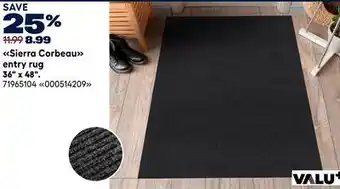 RONA ENTRY RUG offer