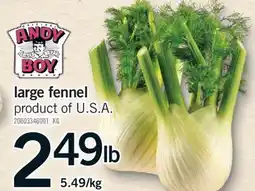 Fortinos LARGE FENNEL offer