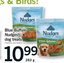 Fortinos BLUE BUFFALO NUDGES DOG TREATS, 283G offer