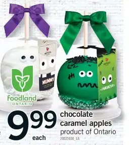 Fortinos CHOCOLATE CARAMEL APPLES offer