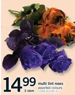 Fortinos MULTI TINT ROSE, 3 STEM offer