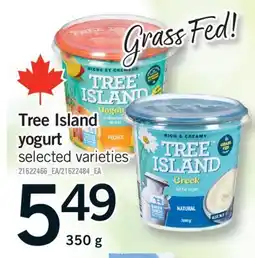 Fortinos TREE ISLAND YOGURT, 350 G offer