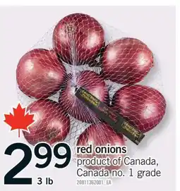 Fortinos RED ONIONS, 3 LB offer