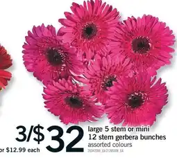 Fortinos LARGE 5 STEM OR MINI 12 STEM GERBERA BUNCHES offer