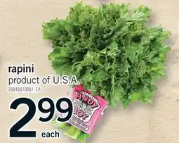 Fortinos RAPINI offer