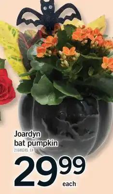 Fortinos JOARDYN BAT PUMPKIN offer