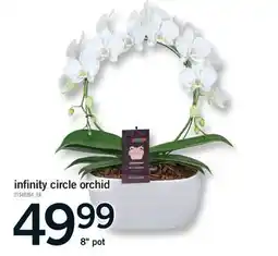 Fortinos INFINITY CIRCLE ORCHID offer