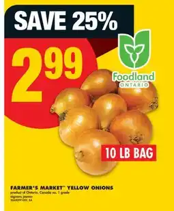 No Frills FARMER'S MARKET YELLOW ONIONS, 10 LB BAG offer