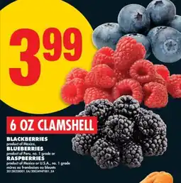 No Frills BLACKBERRIES, BLUEBERRIES or RASPBERRIES, 6 OZ CLAMSHELL offer