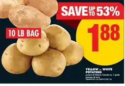 No Frills YELLOW or WHITE POTATOES, 10 LB BAG offer