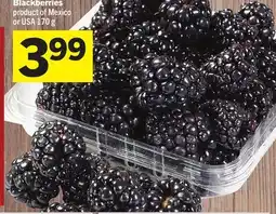 Foodland Blackberries offer