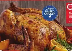 Foodland AIR-CHILLED Whole Chicken offer