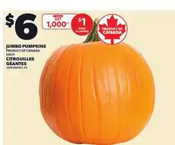 Independent Grocer JUMBO PUMPKINS offer