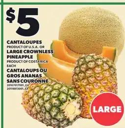 Independent Grocer CANTALOUPES, LARGE CROWNLESS PINEAPPLE offer