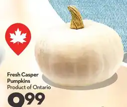 Longo's Fresh Casper Pumpkins offer