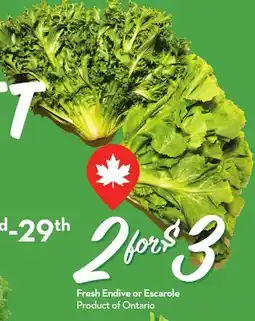 Longo's Fresh Endive or Escarole offer