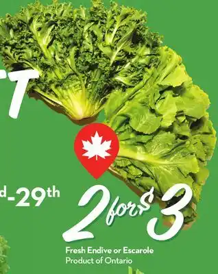 Longo's Fresh Endive or Escarole offer