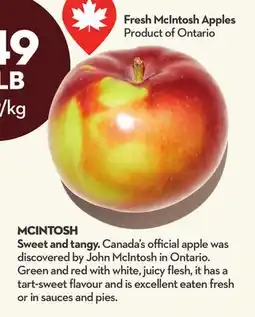 Longo's MCINTOSH offer