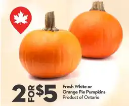 Longo's Fresh White or Orange Pie Pumpkins offer