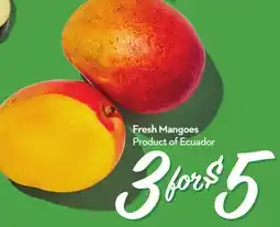 Longo's Fresh Mangoes offer