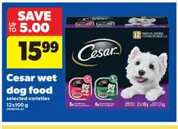 Real Canadian Superstore CESAR WET DOG FOOD, 12x100 g offer