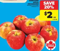 Real Canadian Superstore HONEYCRISP APPLES ORCHARD RUN offer