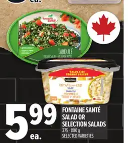 Metro FONTAINE SANTÉ SALAD OR SELECTION SALADS offer