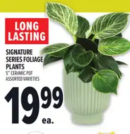 Metro SIGNATURE SERIES FOLIAGE PLANTS offer