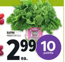 Metro ANDY BOY RAPINI offer