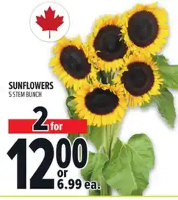 Metro SUNFLOWERS offer