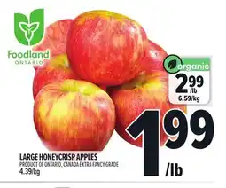 Metro LARGE HONEYCRISP APPLES offer