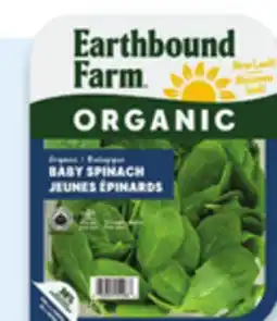 Walmart Earthbound Farm organic salad kit offer