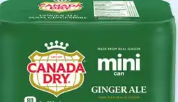 Walmart Canada Dry Ginger Ale Mini Cans offer