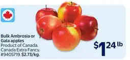 Walmart Bulk Ambrosia or Gala apples offer