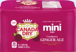 Walmart Canada Dry Cranberry Ginger Ale Beer Mini Cans offer