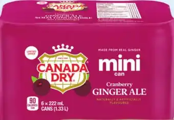 Walmart Canada Dry Cranberry Ginger Ale Beer Mini Cans offer