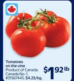 Walmart Tomatoes on the vine offer